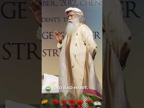 别再培养“好习惯”了：真正的自由是活在觉知里