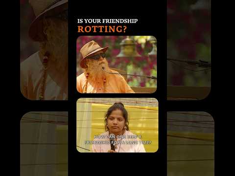 为什么友谊会随时间腐烂？萨古鲁谈关系的本质