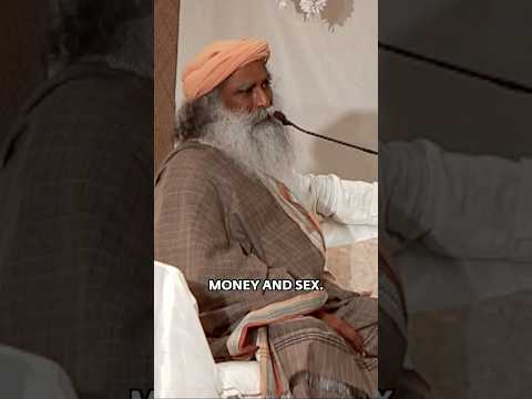 金钱与欲望：别让它们成为你生命的统治者