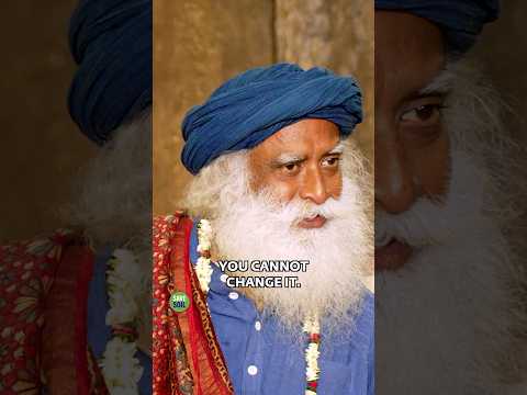 别试图遗忘过去：那是你通往智慧的垫脚石