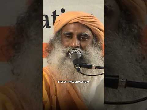 为什么灵性成长如此艰难？因为你在对抗本能